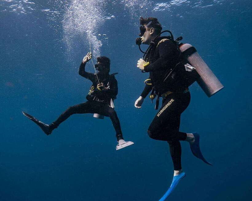 Panglao Bohol: Try Scuba Diving at Napaling and Sardines - Napaling Reef and sardines: the underwater moment you’re paying for