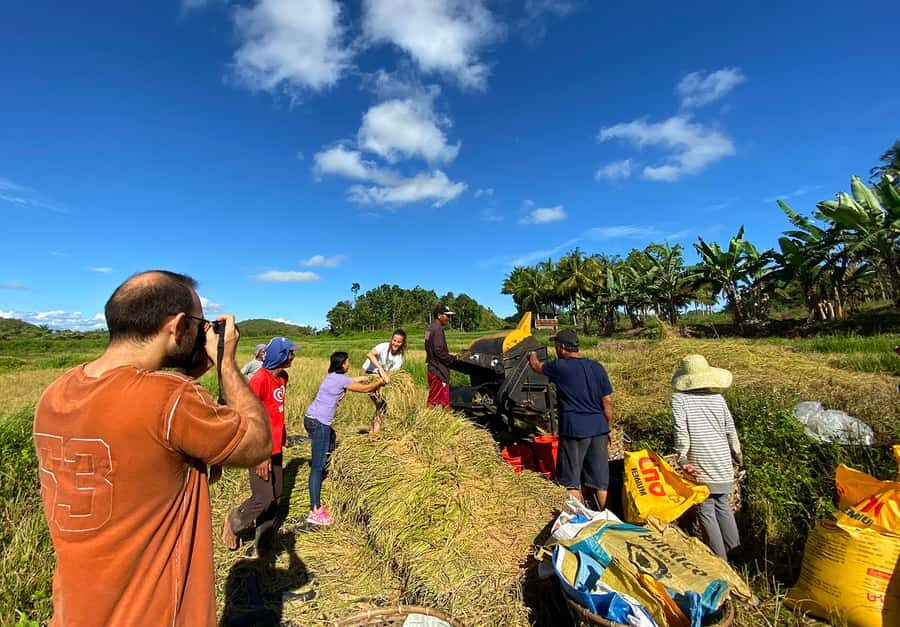 Panglao: Dao, Forests, and Tarsier Sanctuary Tour with Lunch - What You Actually Get for $144: Value Breakdown