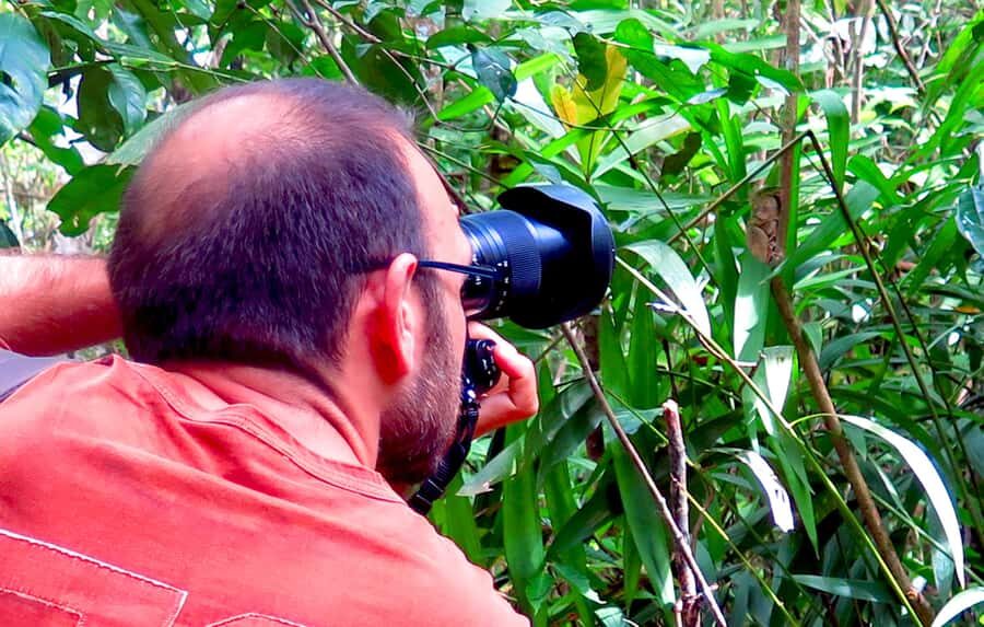 Panglao: Dao, Forests, and Tarsier Sanctuary Tour with Lunch - The Guide and Driver Matter More Than You Think