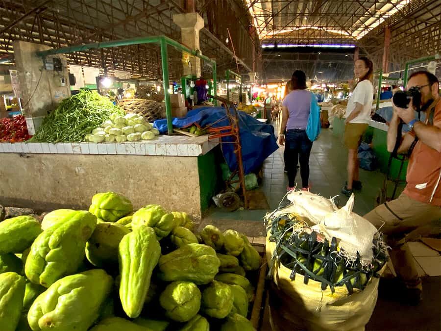 Panglao: Dao, Forests, and Tarsier Sanctuary Tour with Lunch - Should You Book This Panglao to Bohol Tour?