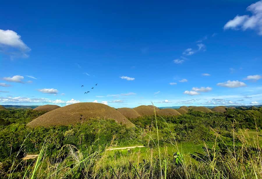 Panglao: Dao, Forests, and Tarsier Sanctuary Tour with Lunch - Stop by Stop: How Each Part of the Tour Plays Out