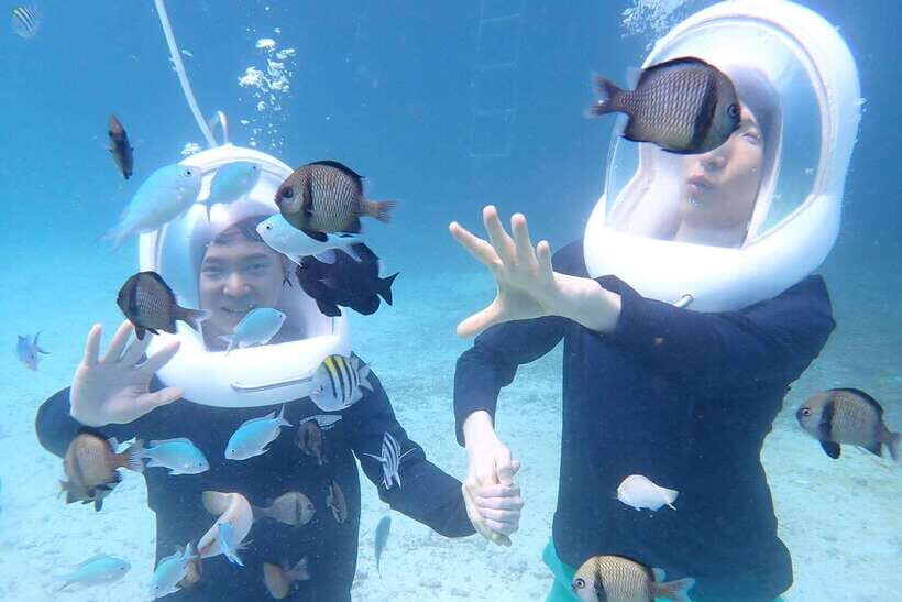 Panglao: Helmet Diving Experience with Photos and Videos - Key things that make this helmet reef-walk worth it