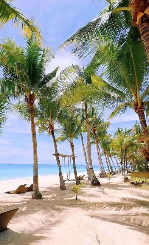 Panglao Island Escape: Cave Swim, White Sand Beach & More - Who This Panglao Day Suits Best