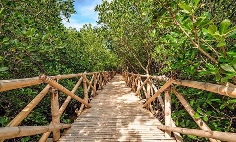 Panglao Island Escape: Cave Swim, White Sand Beach & More - Price and Logistics: Why $34 Still Feels Like Good Value