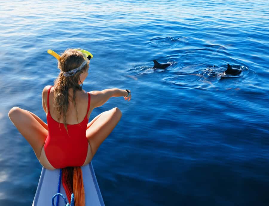 Panglao: Island Hopping w/Balicasag (Shared) - FAQ