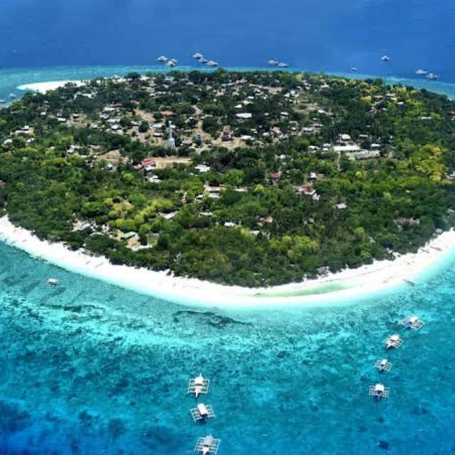 Panglao: Island Hopping w/Balicasag (Shared) - Who should book the Panglao to Balicasag shared tour