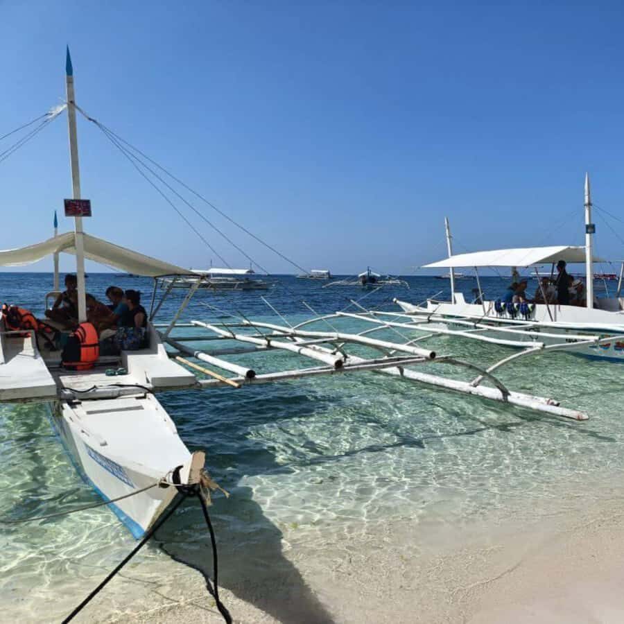 Panglao: Island Hopping w/Balicasag (Shared) - Dolphin-watching on Panglao: exciting, but not guaranteed