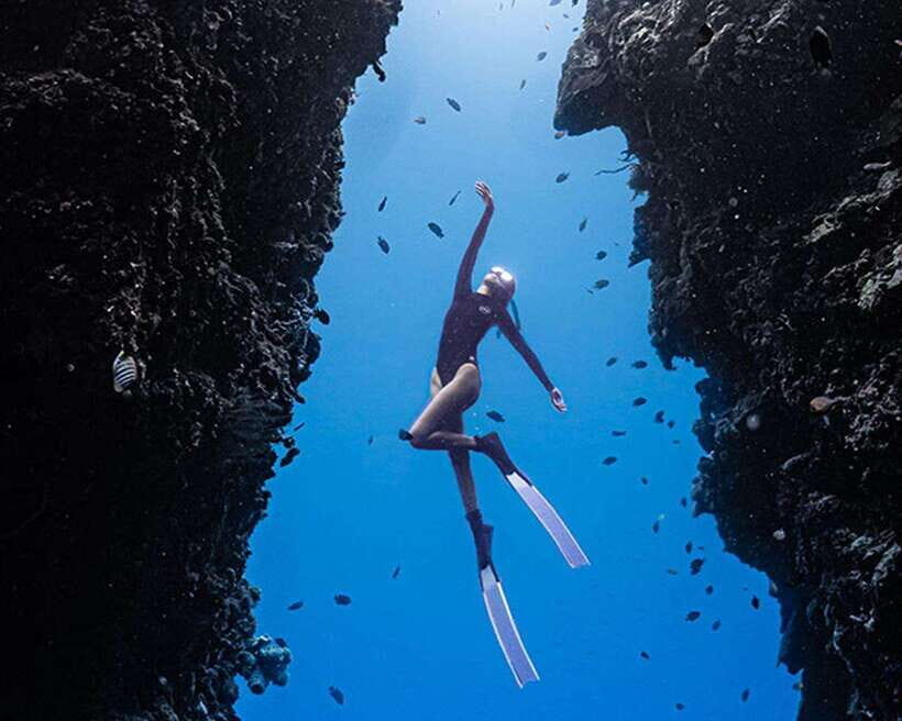 Panglao: Napaling Reef and Sardines Freediving Experience - Napaling Reef in Panglao: What You’re Really Seeing