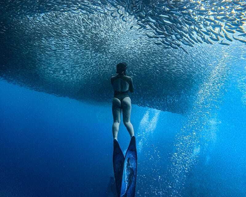 Panglao: Napaling Reef and Sardines Freediving Experience - Napaling Crack and the 25-Meter Coral Wall