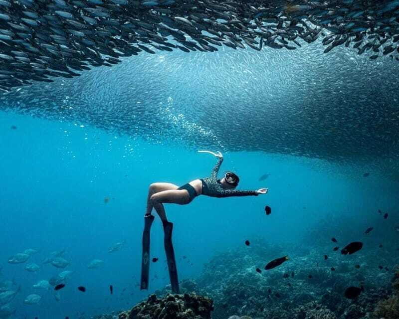 Panglao: Napaling Reef and Sardines Freediving Experience - Duration and Timing: How the Session Actually Feels