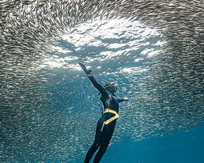 Panglao: Napaling Reef and Sardines Freediving Experience - Who Should Book This Freediving Tour (and Who Should Skip It)