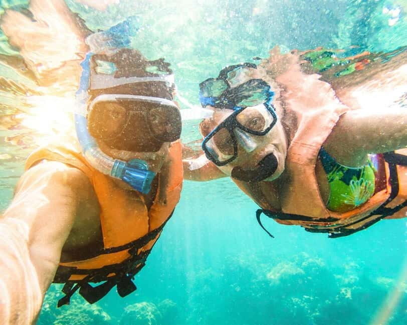 Panglao: Snorkeling at NapalingReef with Sardines Experience - Key highlights at a glance