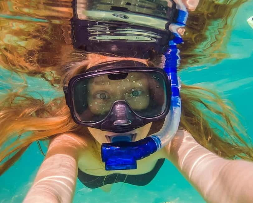 Panglao: Snorkeling at NapalingReef with Sardines Experience - Napaling Reef: The Sardine-Spot You Can Do Without a Swim Test