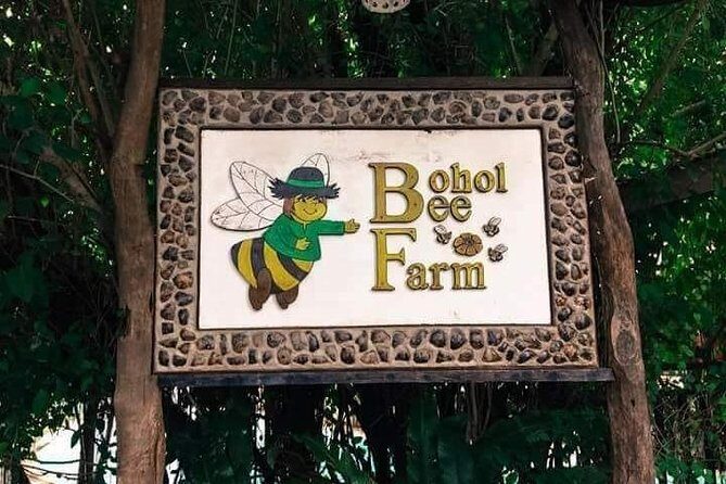 Panglao's Best Hinagdanan Cave, Bee Farm, Mirror of the World - A 7-hour Panglao circuit with pickup that actually saves you time