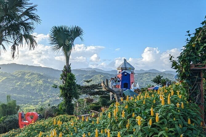 Panoramic View of Cebu and Dinner with Night View - Should You Book This Cebu Night-View Tour?