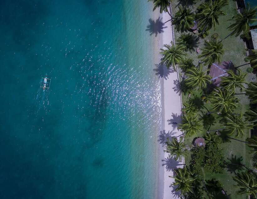 Port Barton: Island Hopping to Turtle Spot & Reef with Lunch - Key things I’d zero in on