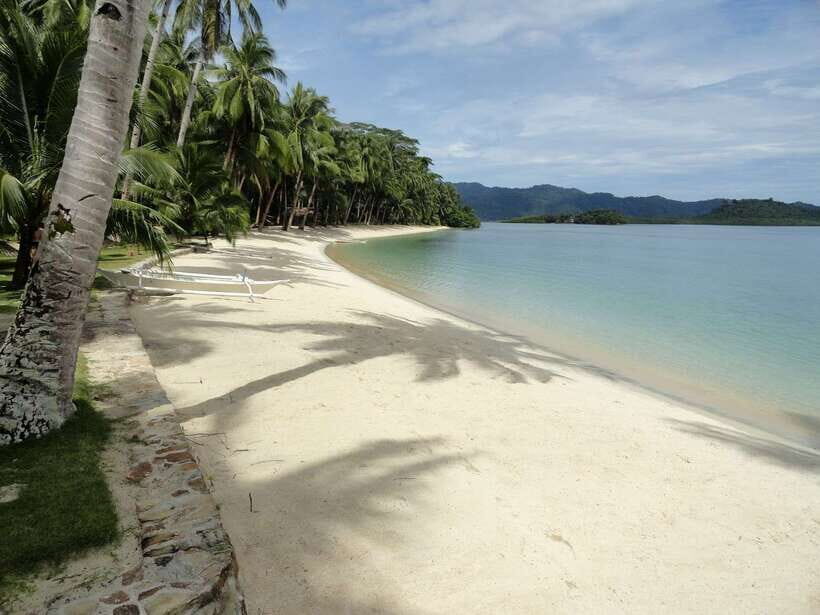 Port Barton: Island Hopping to Turtle Spot & Reef with Lunch - Twin Reef Snorkeling: Coral, Starfish, and the Spot You’ll Remember