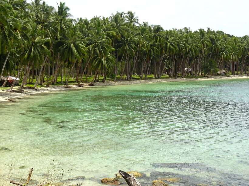 Port Barton: Island Hopping to Turtle Spot & Reef with Lunch - Lunch on the Beach BBQ: Why Included Food Changes the Day