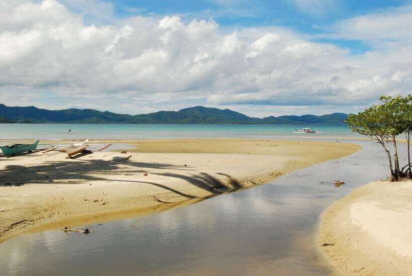Port Barton: Island Hopping to Turtle Spot & Reef with Lunch - Who This Tour Suits Best (and Who Should Rethink It)