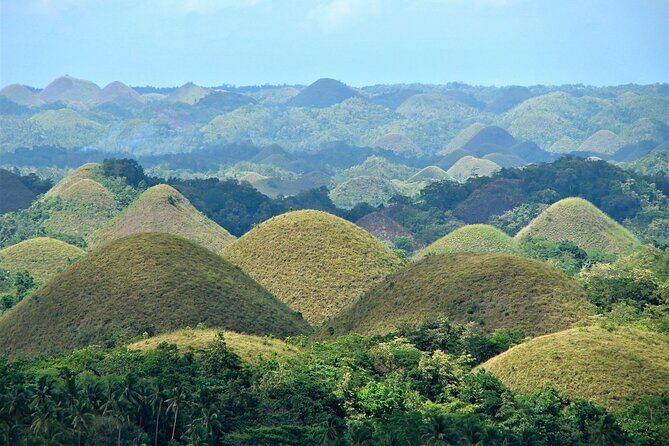 Private Bohol and Chocolate Hills with Loboc River Cruise - A private Bohol day that actually fits: 8 hours with real variety