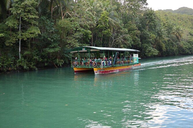 Private Bohol and Chocolate Hills with Loboc River Cruise - Who this tour suits best (and who might want something else)