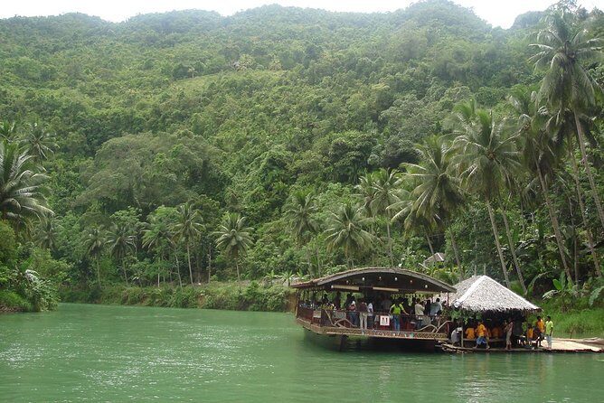 Private Bohol and Chocolate Hills with Loboc River Cruise - Corella’s Philippine Tarsier Foundation: tiny nocturnal attention span