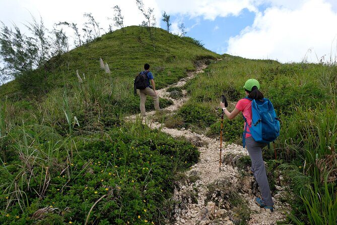 Private Kawasan Falls and Osmena Peak Day Trip from Cebu City - Private Cebu Morning: The 6:00am Start and the Drive Bet
