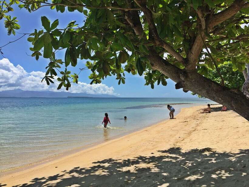 Puerto Princesa: Cowrie Island Guided Day Tour with Meal - Key Things to Know Before You Go
