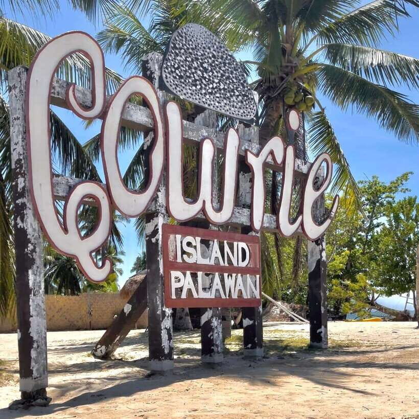 Puerto Princesa: Cowrie Island Guided Day Tour with Meal - Hotel Pickup and Wharf Paperwork: Where the Private Tour Wins