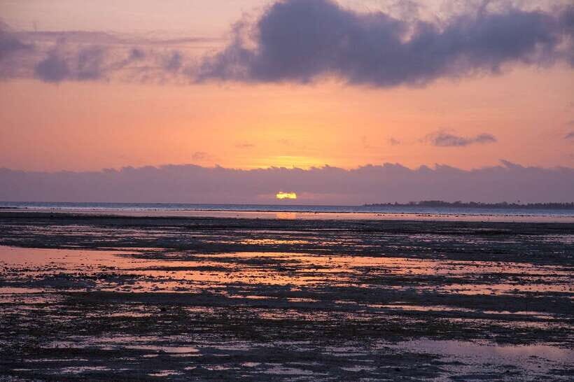 Puerto Princesa: Firefly Watching Bay Cruise with Dinner - Puerto Princesa at dusk: why this cruise feels special