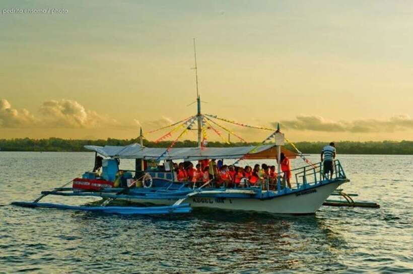 Puerto Princesa: Firefly Watching Bay Cruise with Dinner - Fireflies in the trees: what you’re actually looking for
