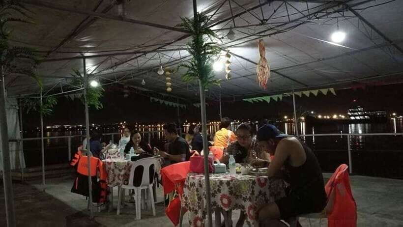 Puerto Princesa: Firefly Watching Bay Cruise with Dinner - Bioluminescent plankton: the unexpected glow in the estuary
