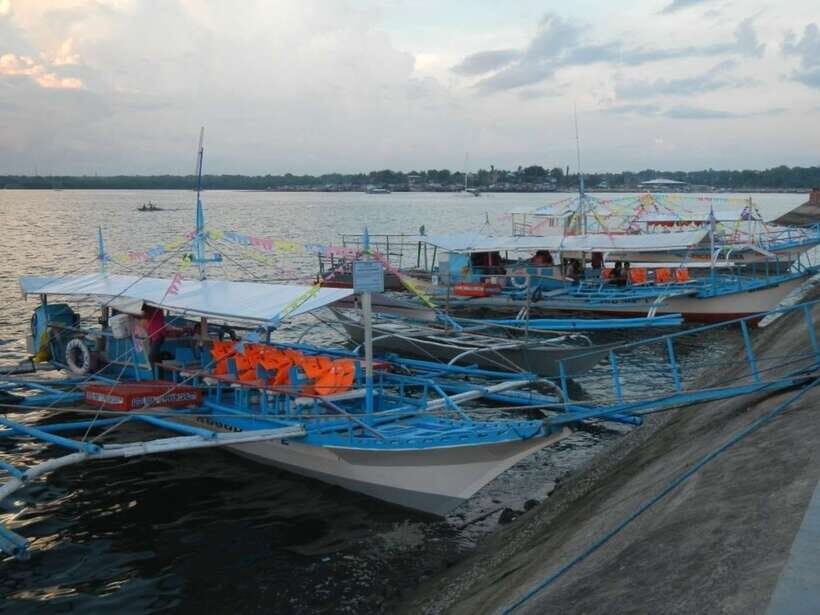 Puerto Princesa: Firefly Watching Bay Cruise with Dinner - Sighting reality check: what you should and shouldn’t expect