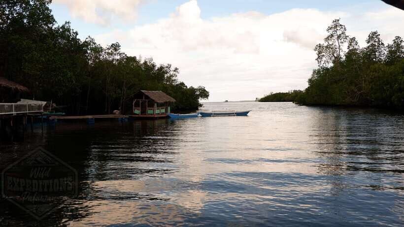 Puerto Princesa: Firefly Watching Paddle Boat Tour & Dinner - Key points I’d plan around
