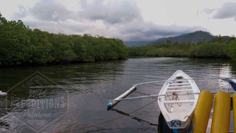 Puerto Princesa: Firefly Watching Paddle Boat Tour & Dinner - The motorized boat transfer to the Sicsican River