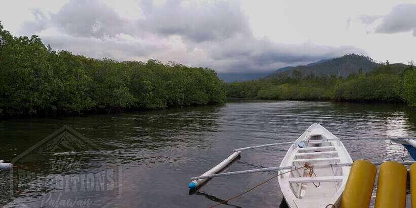 Puerto Princesa: Firefly Watching Paddle Boat Tour & Dinner - How the dinner and boat timing creates a smooth 4-hour experience