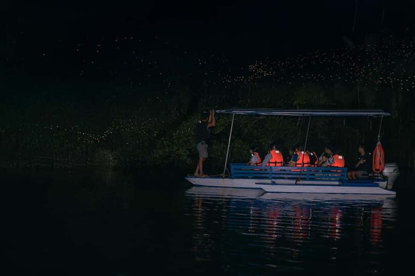 Puerto Princesa: Firefly Watching Tour with Dinner - The on-site concert and live entertainment