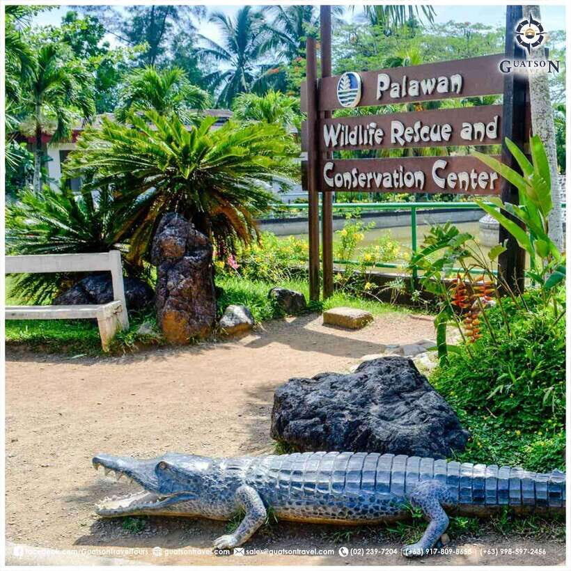 Puerto Princesa Half Day City Tour (shared tour) - A quick look at Puerto Princesa in four hours