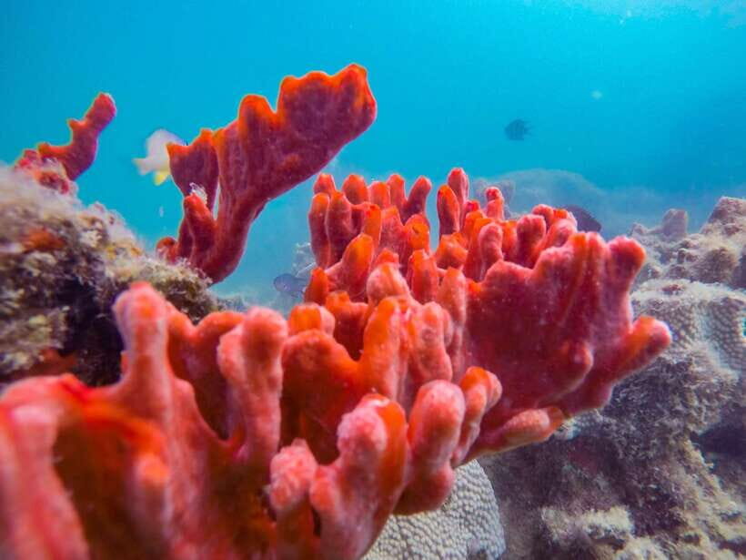 Puerto Princesa: Honda Bay Island Hopping & Optional Massage - Stop 1: Luli Island sandbar and the tide game