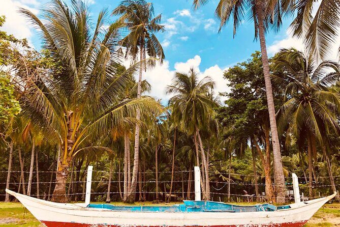 Puerto Princesa Honda Bay Island Hopping Shore Excursion - Price check: is $173 per person good value?