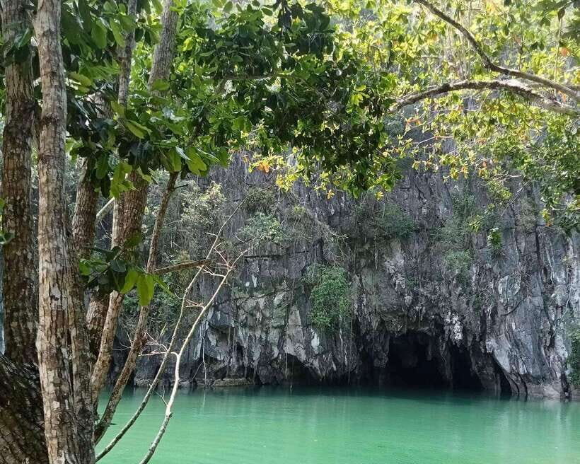 Puerto Princesa in 4 days: Tours package with optional hotel - Day 1 in Puerto Princesa: arrival, then firefly watching