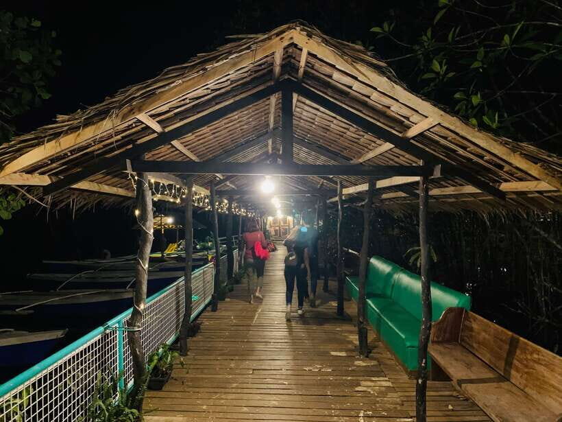 Puerto Princesa: Jungle Firefly Watching Boat Tour & Dinner - Key highlights I’d put at the top
