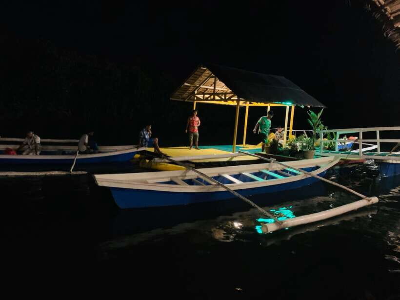 Puerto Princesa: Jungle Firefly Watching Boat Tour & Dinner - How the 4:30 PM Pickup Sets You Up for a Real Firefly Night