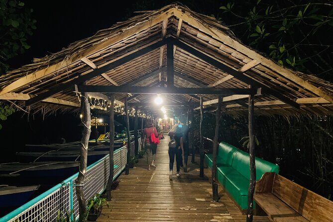 Puerto Princesa Jungle River Firefly Watching - The 4–5 hour plan: timing that matches real darkness