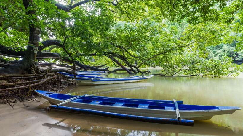 Puerto Princesa Underground River Tour in Palawan - Boat Transfer, Life Vests, and Entering the Underground River
