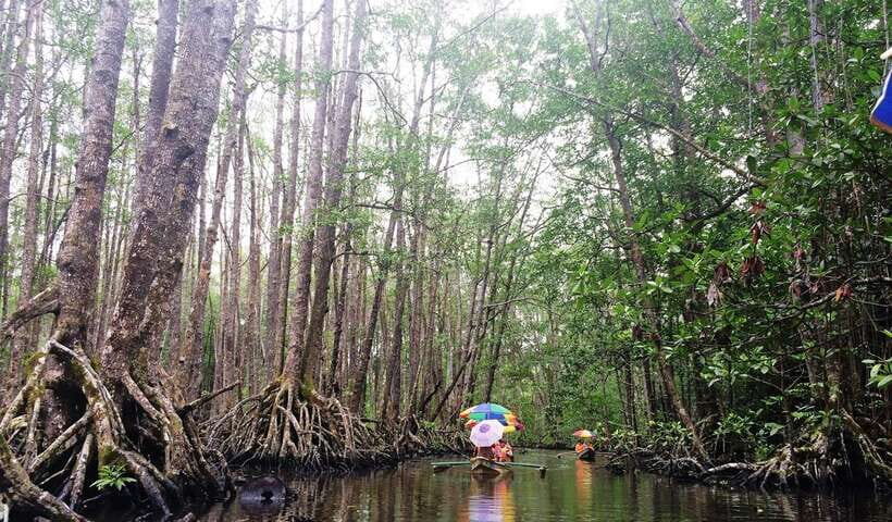 Puerto Princesa: Underground River, Zipline, Paddleboat Tour - Mangrove paddleboat: slower pace, wildlife spotting, and calmer water