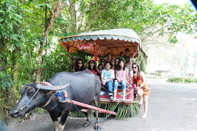 Sagada and Banaue Rice Terraces 4-Day Tour - Meals, Pace, and What to Pack for These Hikes