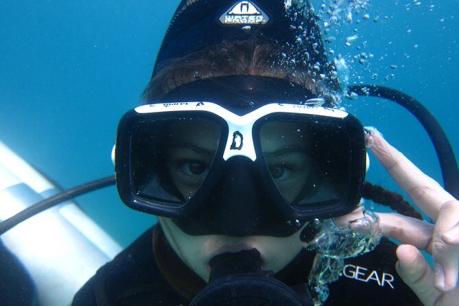 Scuba Diver Course (PADI) - Key things I’d circle before you book