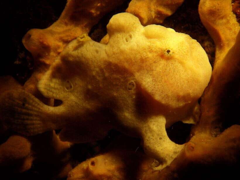 Scuba Diving in Boracay: SSI Basic Diver for Beginners - The Boat Time Session: Seeing Boracay Waters With Fresh Eyes