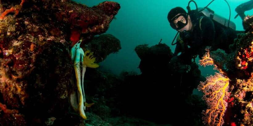 Scuba Diving in Boracay: SSI Basic Diver for Beginners - Equipment Provided, Money Saved: Why $63 Can Make Sense